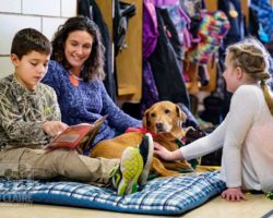 emBARK Therapy Dog Prep Workshop and Classes