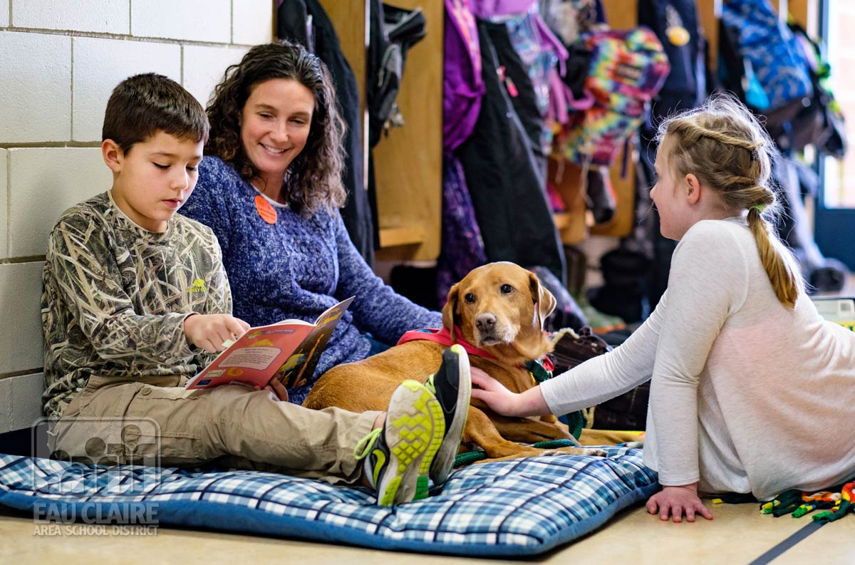 emBARK Therapy Dog Prep Workshop and Classes