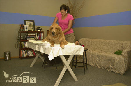 emBARK Canine Massage