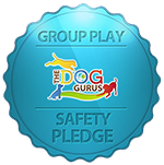 Safety Pledge Logo