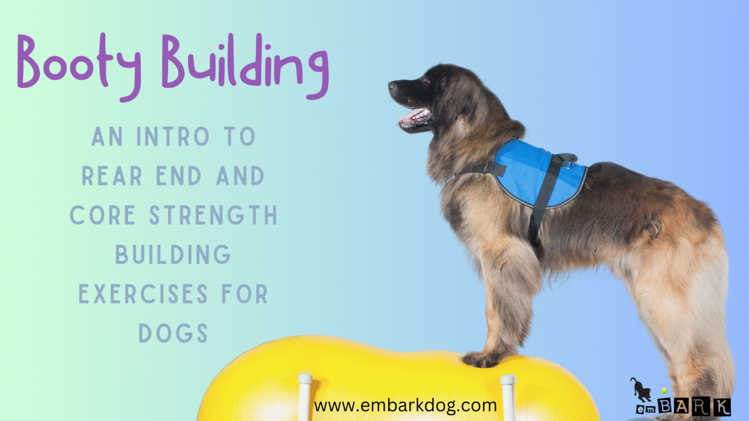 Booty Building emBARK